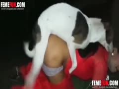 Bestiality sex is enjoyed by dogs and Indian whores.